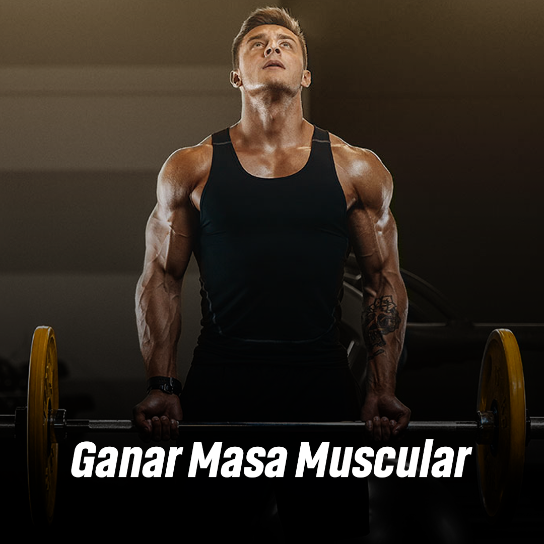 GANAR MASA MUSCULAR